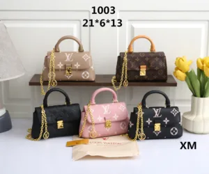 Louis Vuitton New Embossed Cloud Bag Trendy Flap Shoulder Crossbody Tote for Women                                                                                                                          99